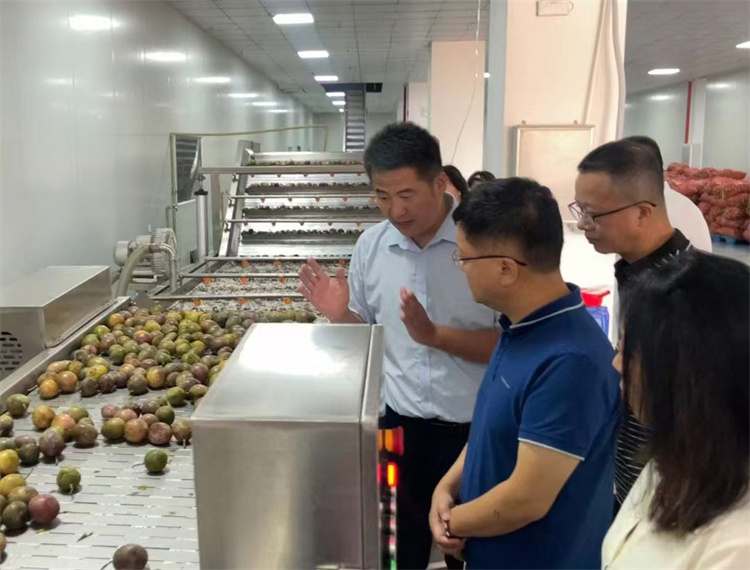 百香果果桨速冻冷库