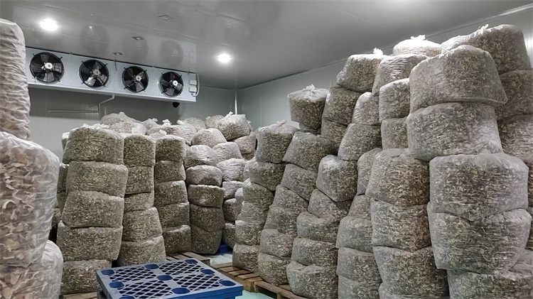 菌类速冻冷藏储存